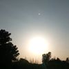 betty_2077