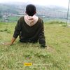 imam.wahyudi868