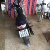 tinha2541