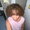 camomilacomorango
