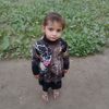 majidkhan3561