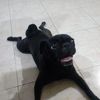 jorge.pl8