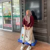 _anisdwi