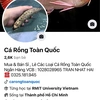 Cá Rồng Toàn Quốc