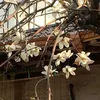 pip_2028