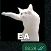 areyousurepip