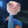 orbital4749147