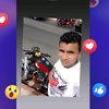 gamuz31