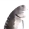 69secvideo