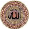abi.diallo478