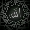 RIZAM