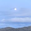 sidewinder_0