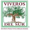 VIVEROS DEL SUR