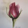 ghada.mohamed6452