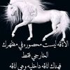 ahmedalgrady74