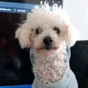 elhuesoysupandilla