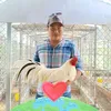 tamkiengianggamefarm