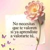 bryanmartinezflor71