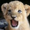 hermoso_bebee