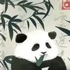 anne_124