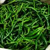 Sang Petani💥💥