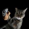 cattemptedmurder