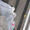 ritsukichan_03