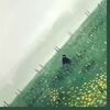 renzo_319