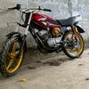 mitomartins77