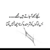 bajwa166