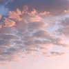 mila_na640