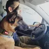 Notsofamousdad