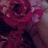 itx.queen2131