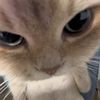 mischievousqiss