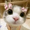 raaaaa_285