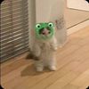 destinyfergy
