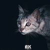 x.__bey_