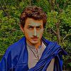 sherazkhan8703