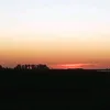meli_corral