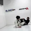 _pedros2_