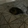 bennyboy88