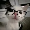 loshokxexe