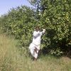 alobaid888