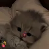 taehyungyosra
