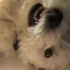 iliterlilydontcare_x0x0