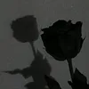 songirl.m
