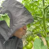 AgroGiirl🍅🥒🫑🍇🥬