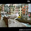 userxzajsyton8