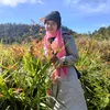 aidasegoro845