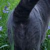 1111eyespy